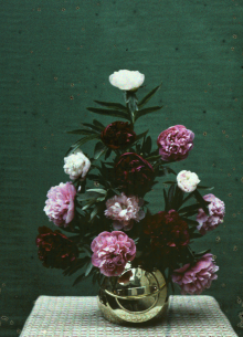 A. Reijerse (attributed to), Bouquet of peonies (1907-1935).