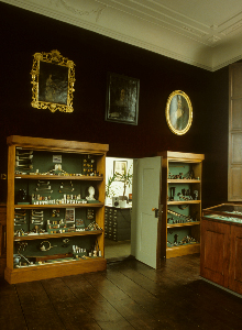 Interior of the museum in Leiden