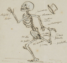 Hollende man en hollend skelet, met de benamingen van de botten. Tekening door Frederik van Eeden, ca. 1878. 